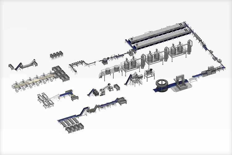 Production, Processing and Packing Lines in NMC 